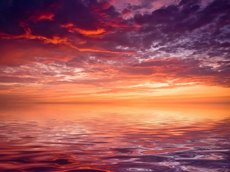 A New Chapter Begins: Welcome to the New Website!